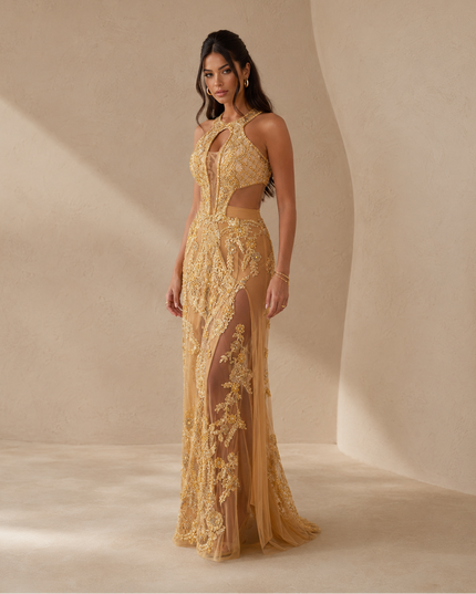 DOURADO AMSTERDAN