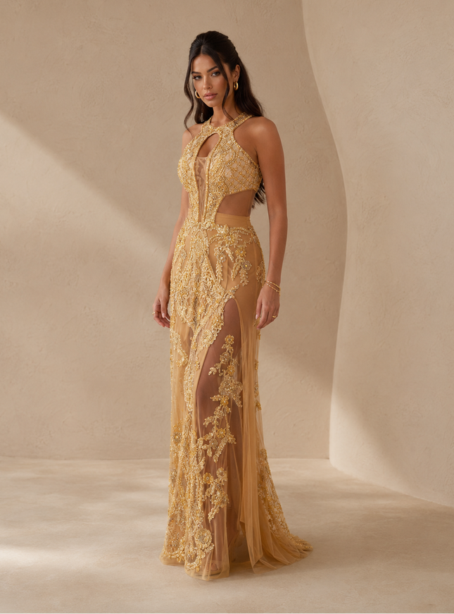 DOURADO AMSTERDÃ